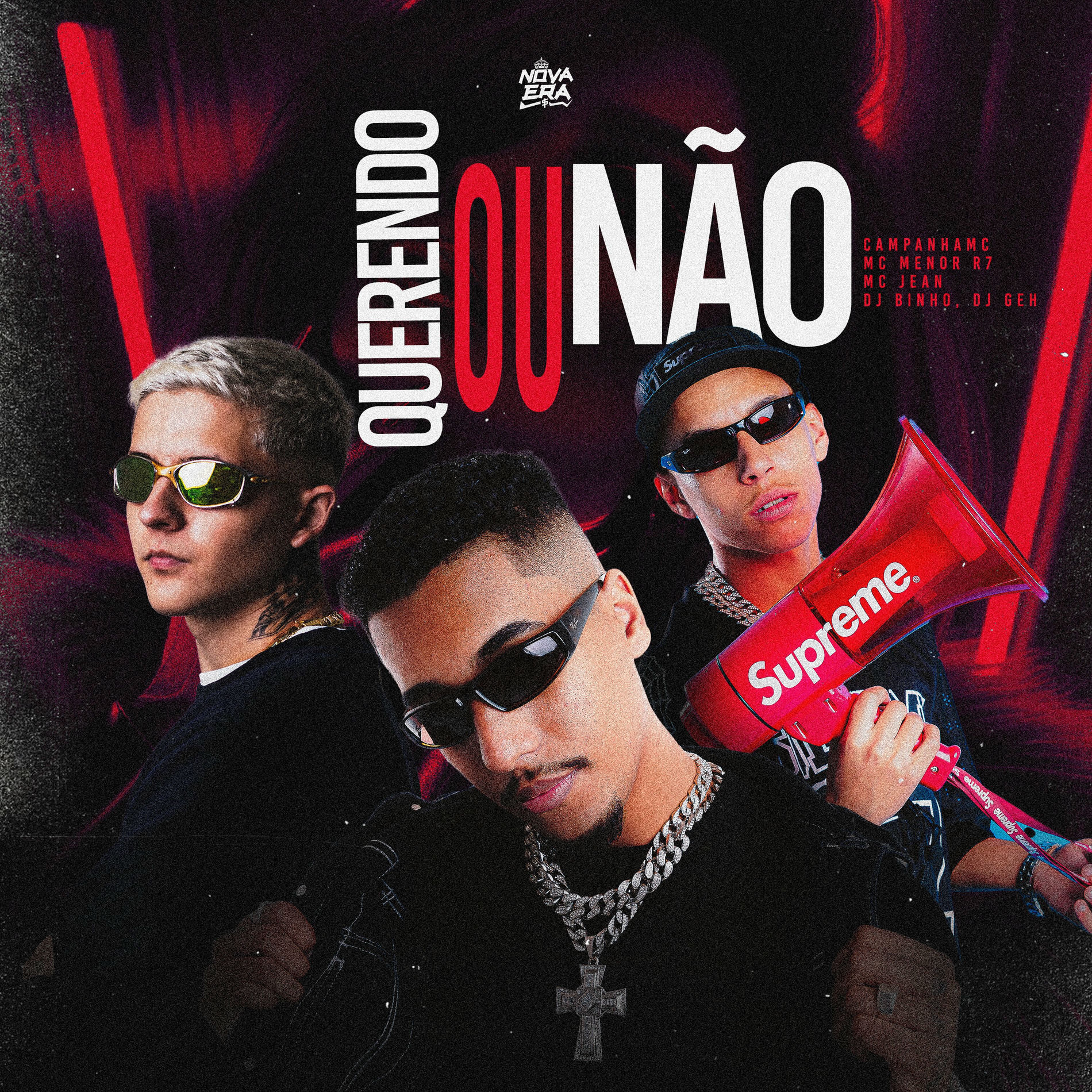 Album cover of Querendo ou Não