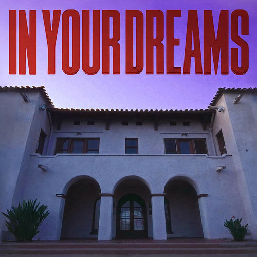 IN YOUR DREAMS