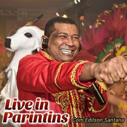 Cover of Live in Parintins (Ao Vivo)