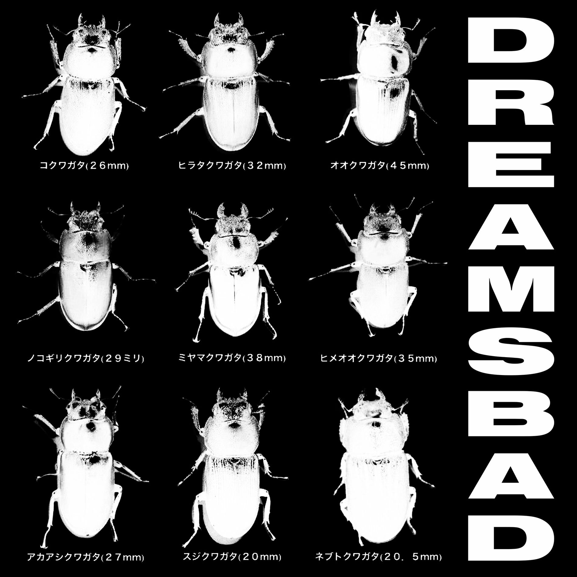 Album cover of Dreamsbad