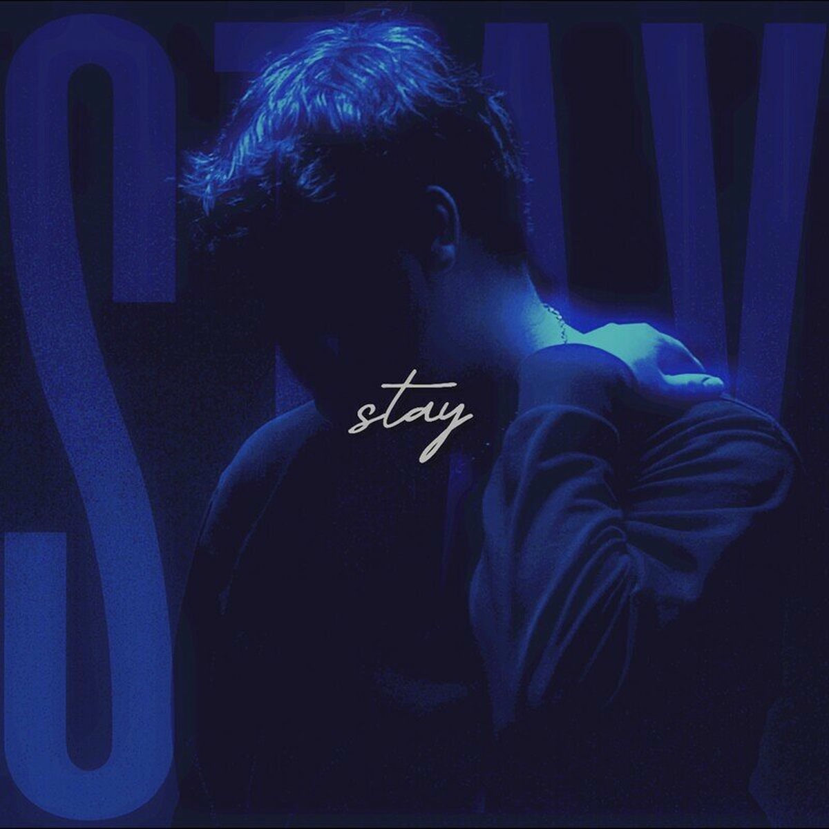 Album cover of Stay