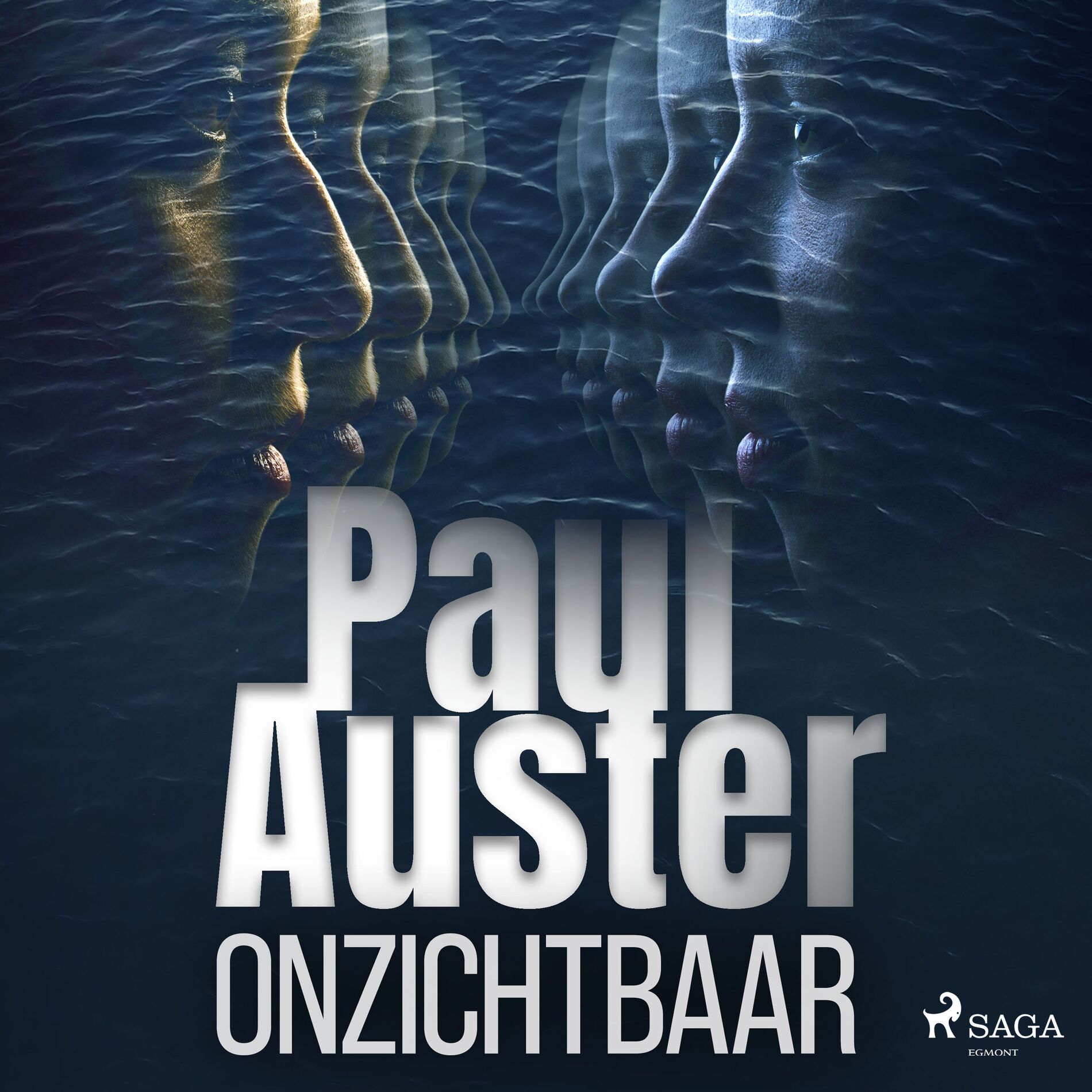 Album cover of Onzichtbaar
