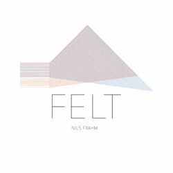 Cover of Felt