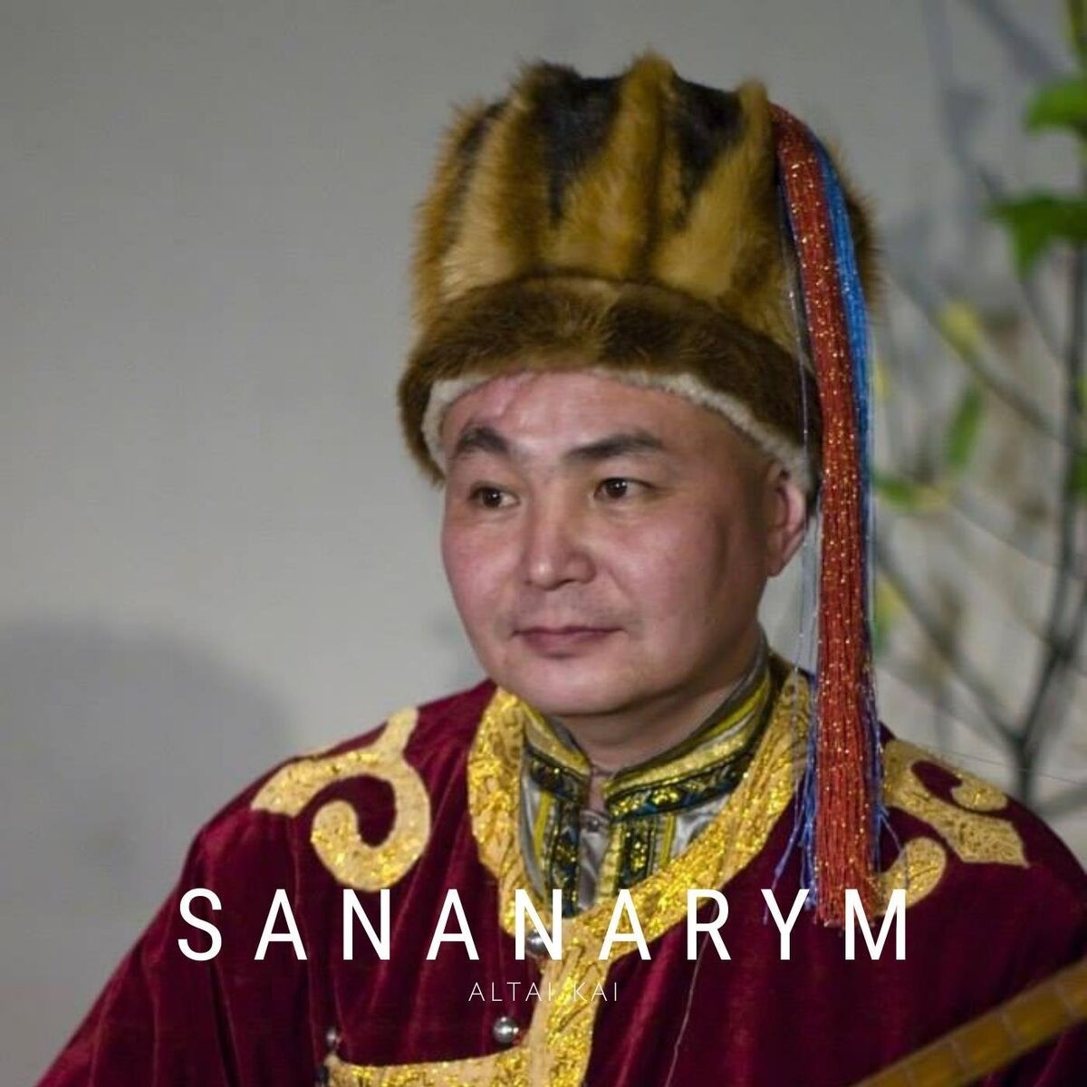 Album cover of Sananarym
