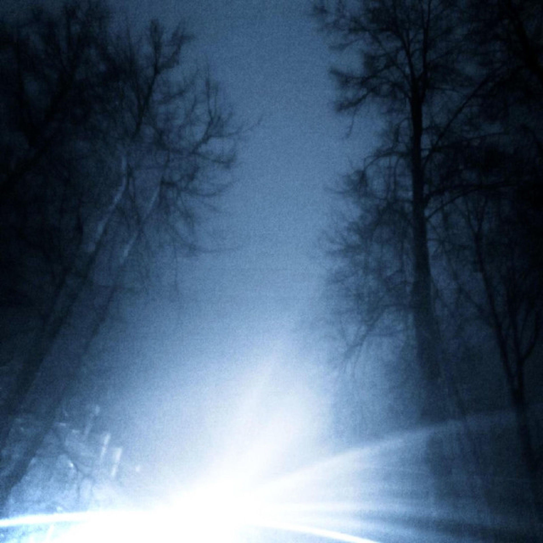 Album cover of lapse