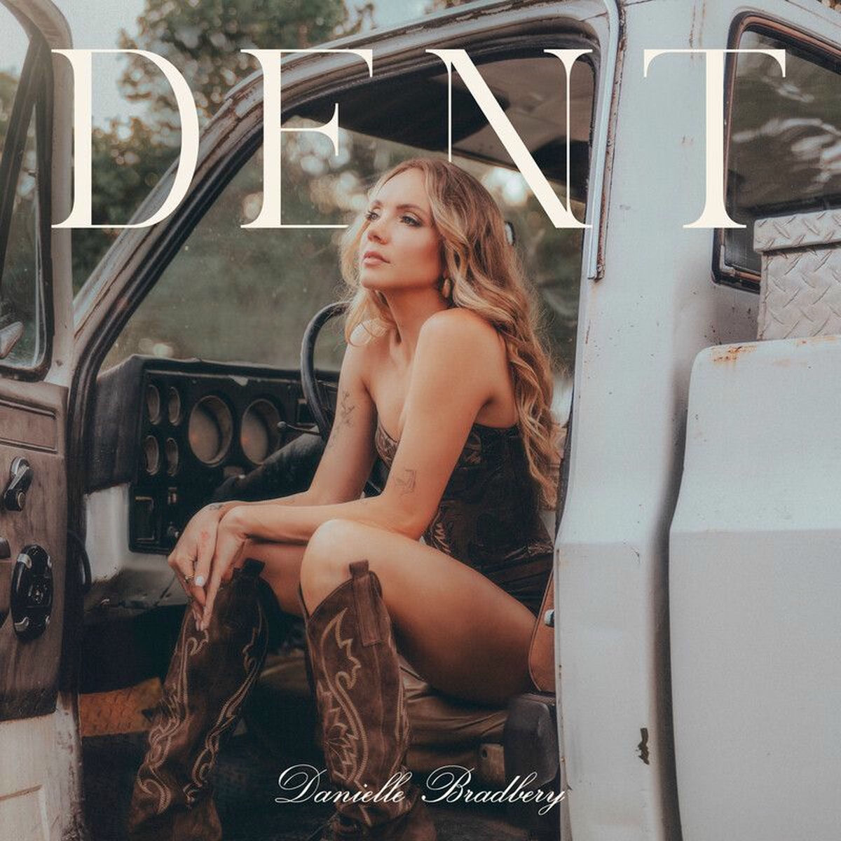 Album cover of Dent