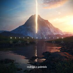 Cover of Mettavolution