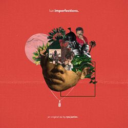 Cover of luv imperfections.