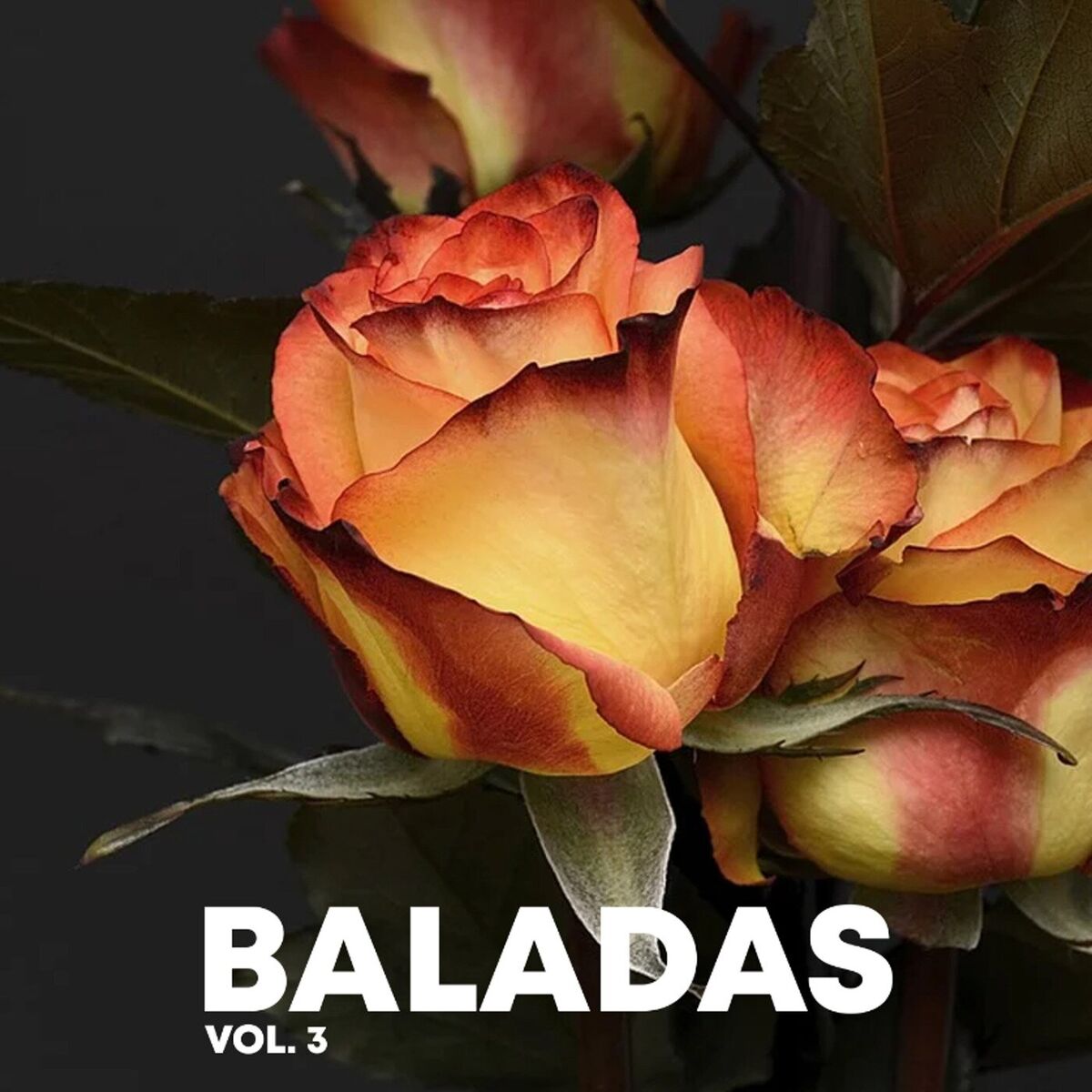 Album cover of Baladas, vol. 3