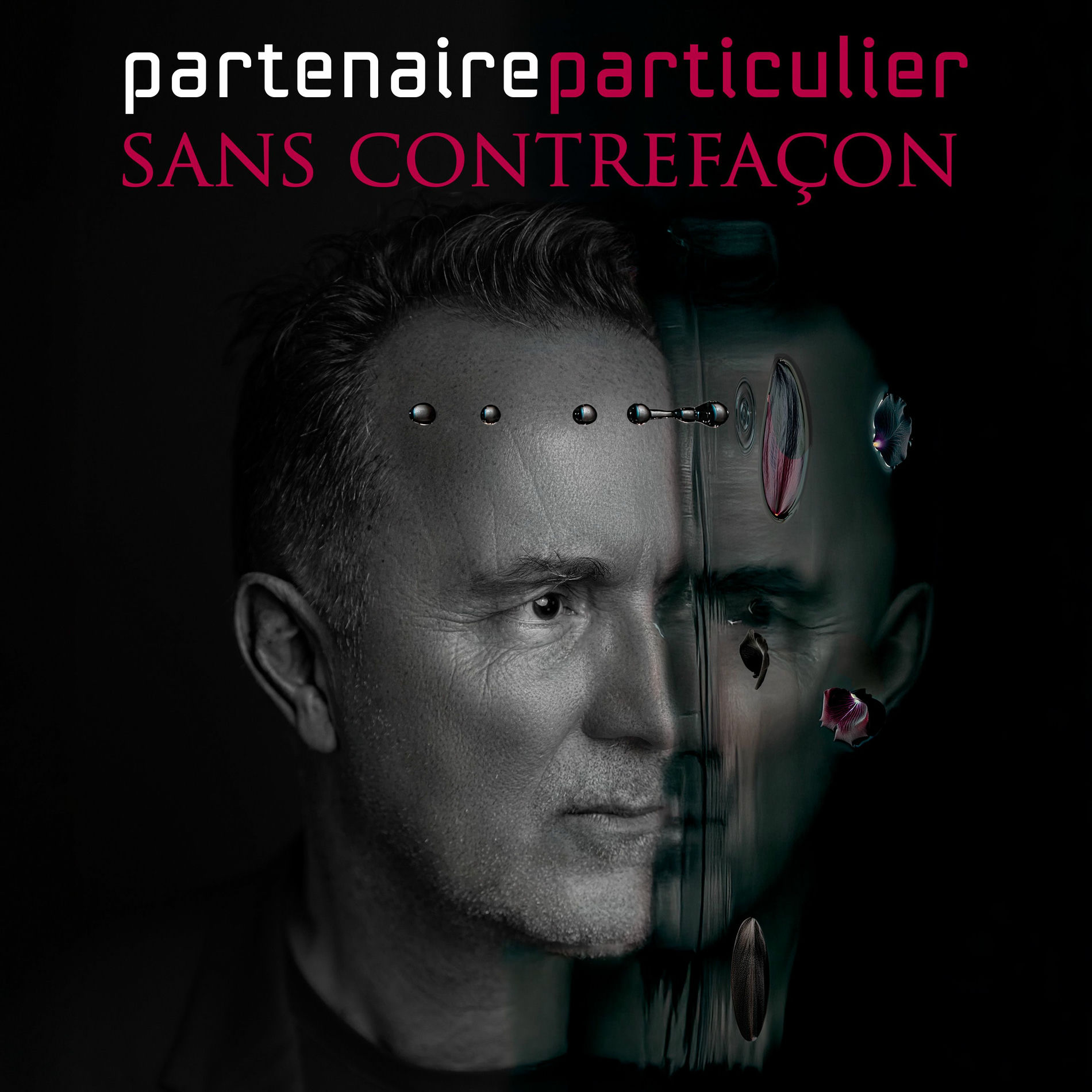 Album cover of Sans contrefaçon