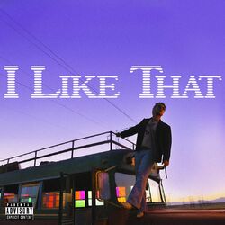 Cover of I Like That