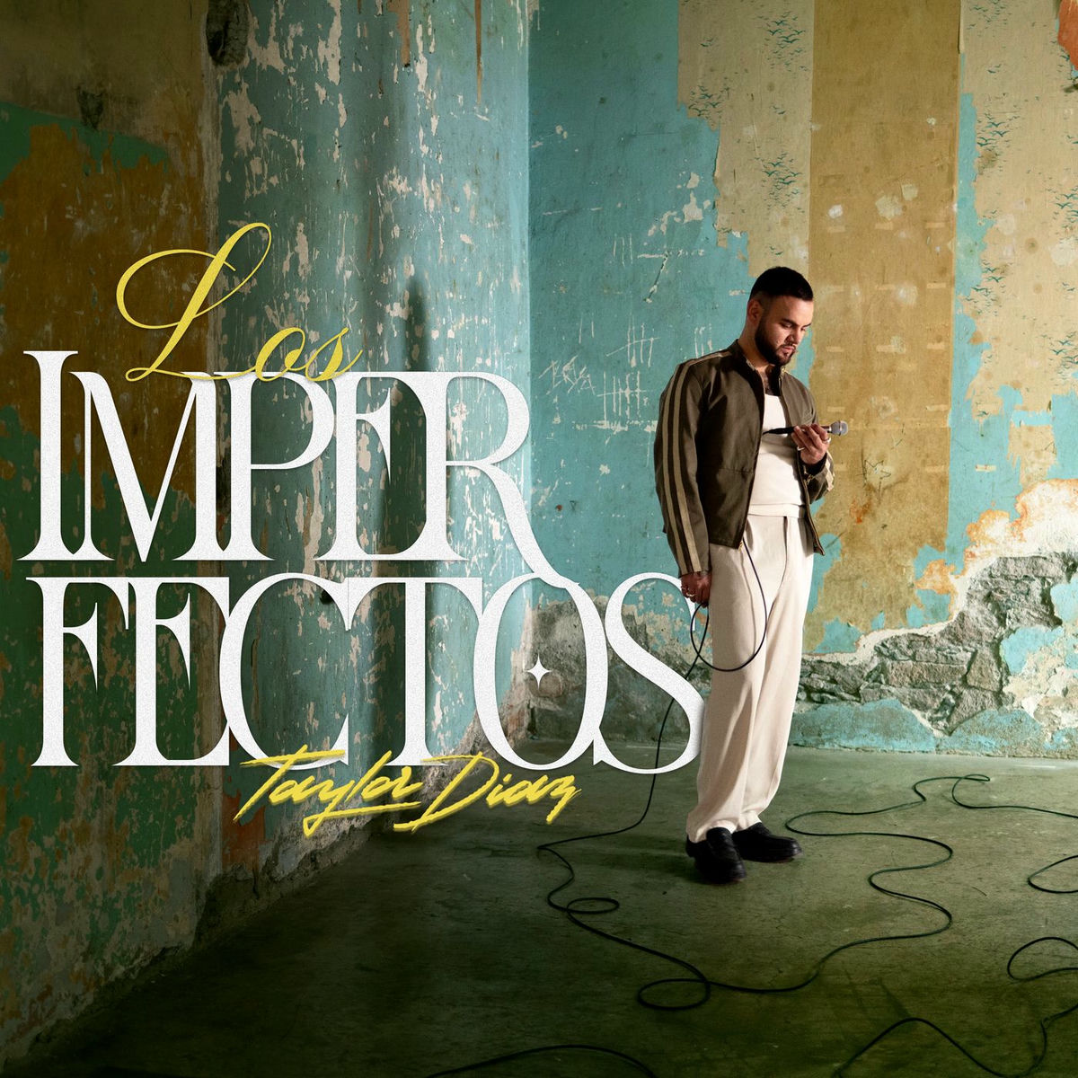 Album cover of Los Imperfectos