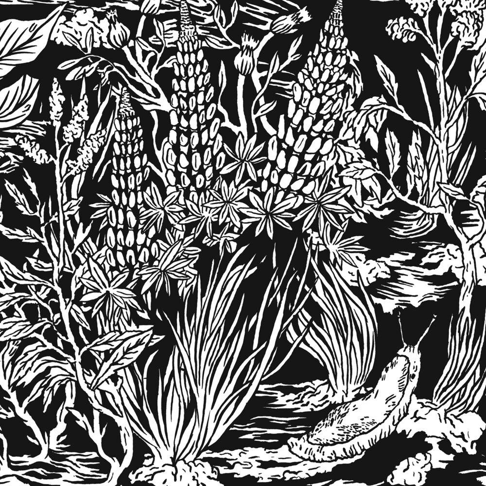 Picture of Wild Strawberries