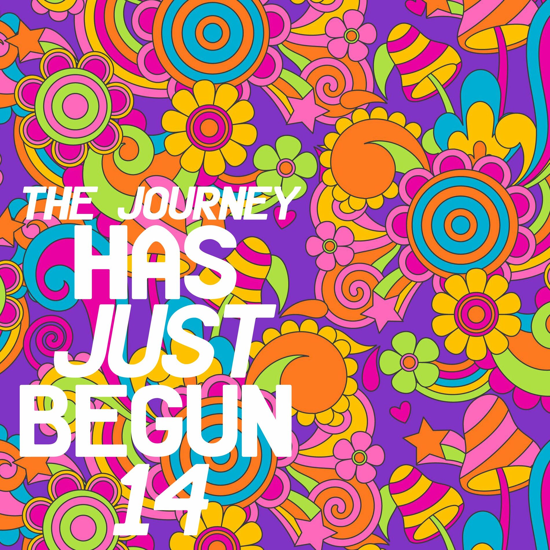 Album cover of The Journey Has Just Begun 14