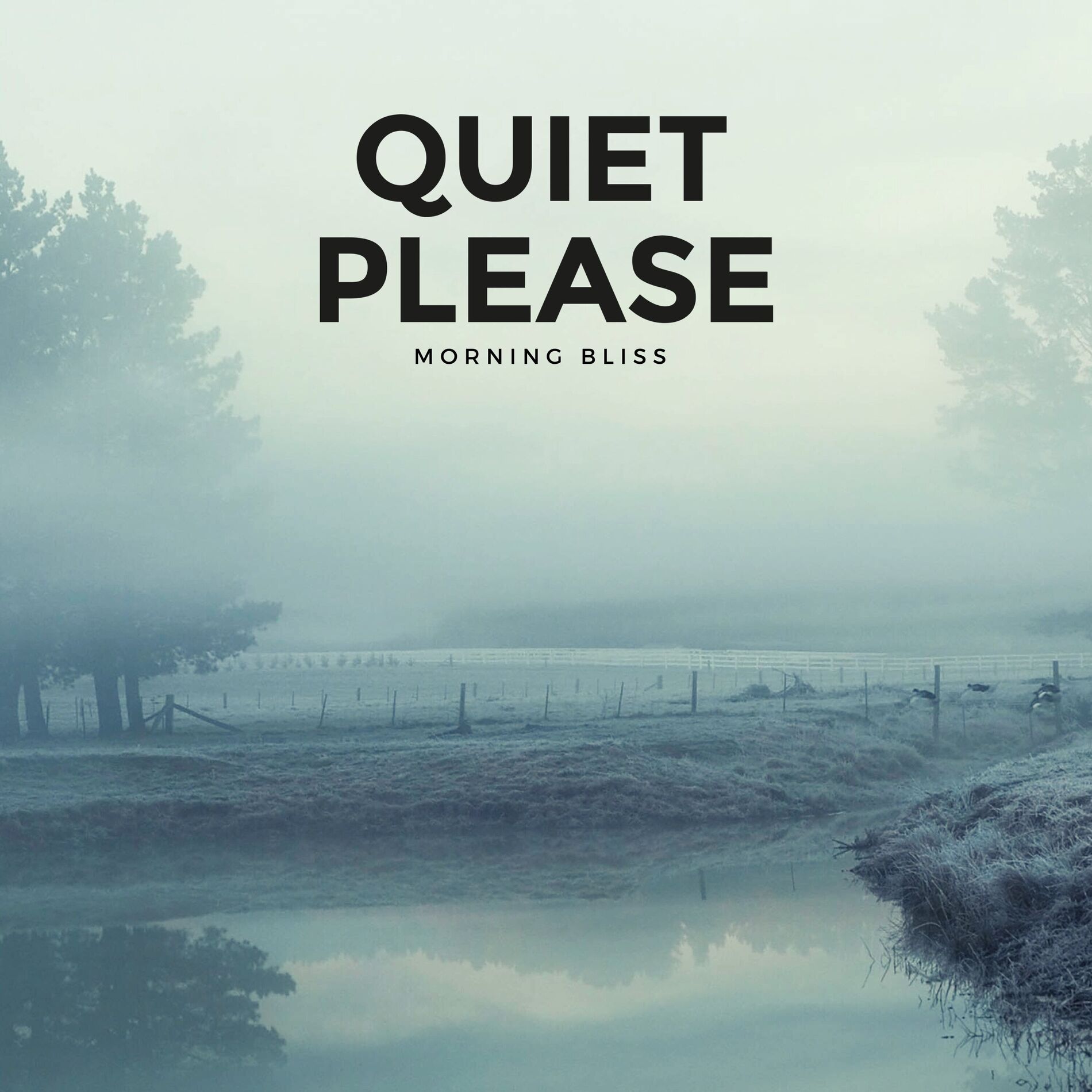 Album cover of Morning Bliss
