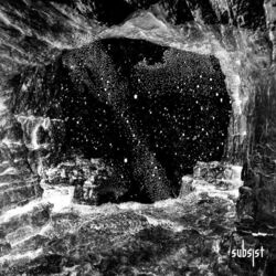 Cover of Visionworks