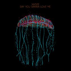 Cover of Say You Wanna Love Me