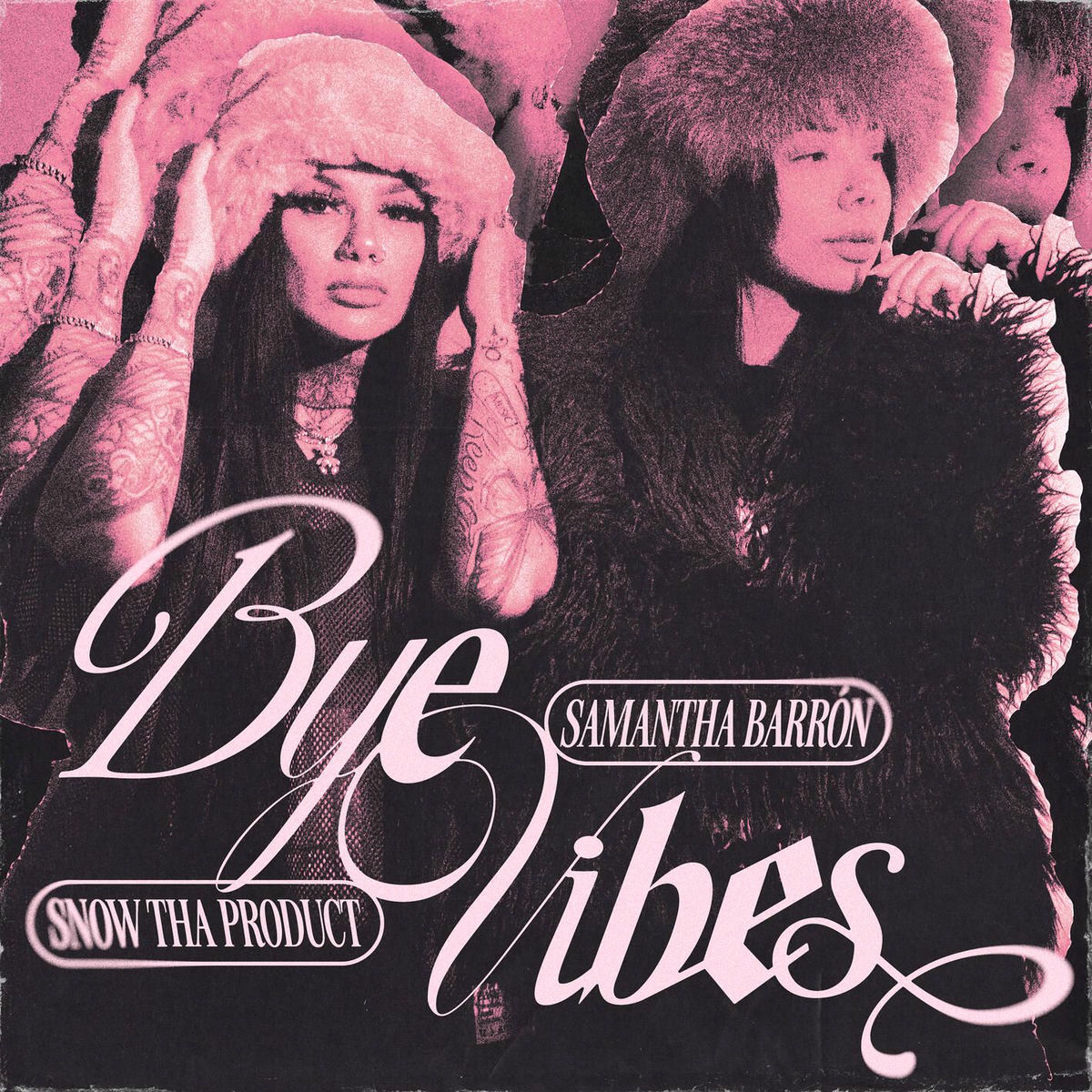 Album cover of Bye Vibes