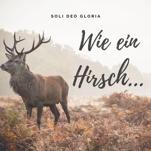 Descargar Wie ein Hirsch (feat. Franz Janzen) - Tools on behalf MP3