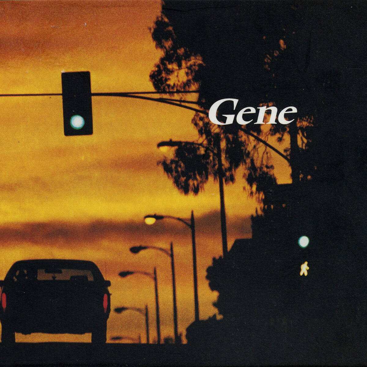 Album cover of Rising For Sunset: Live At The Troubadour Club, Los Angeles