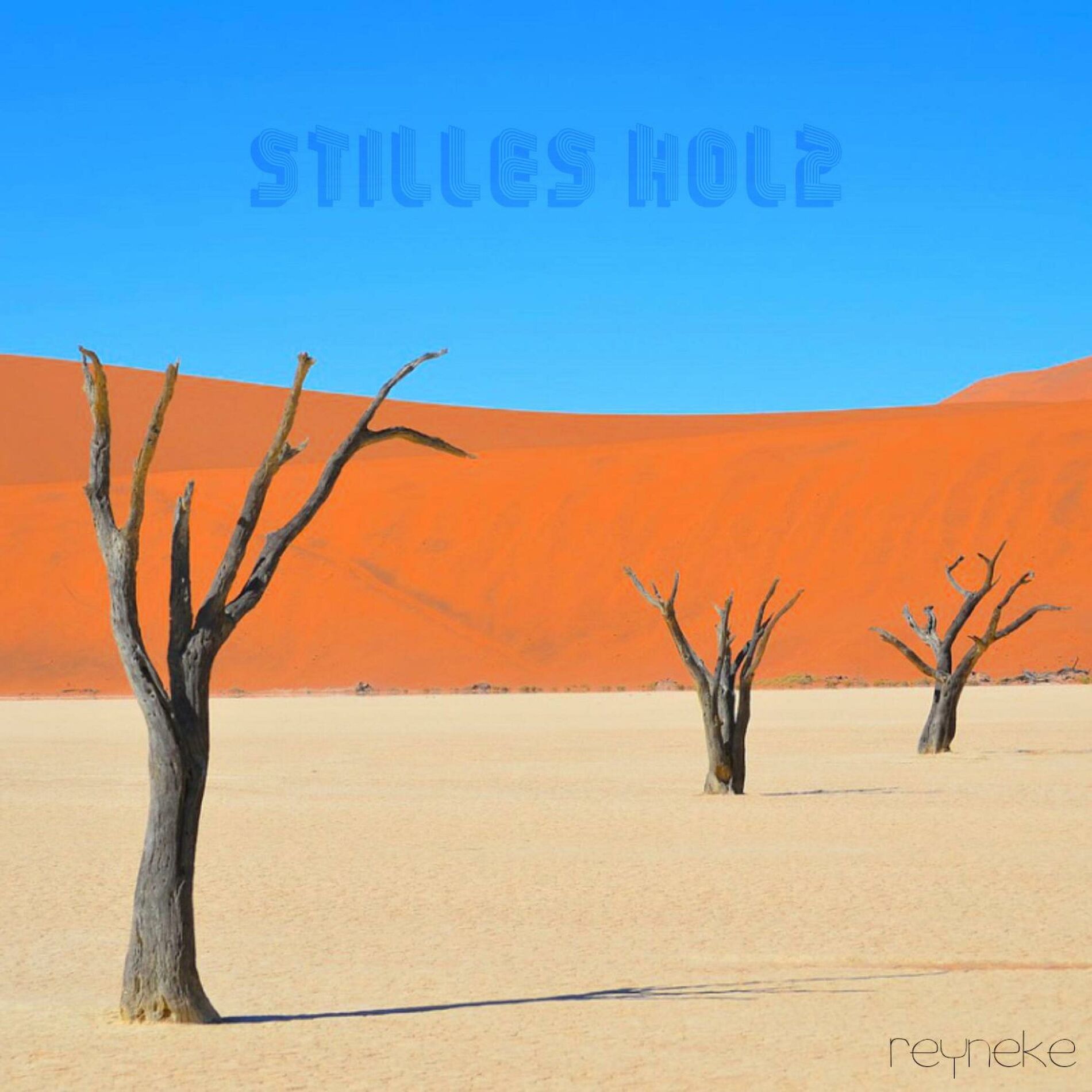 Album cover of Stilles Holz