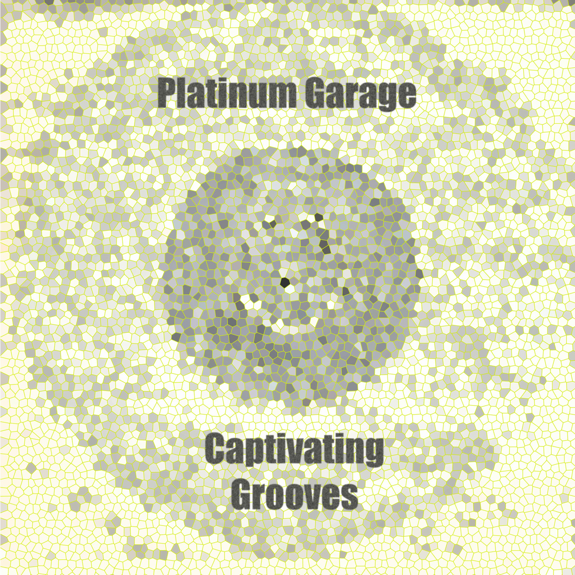 Album cover of Captivating Grooves