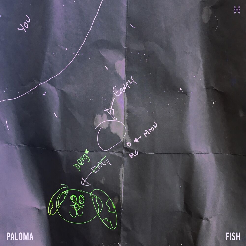 Picture of Fish