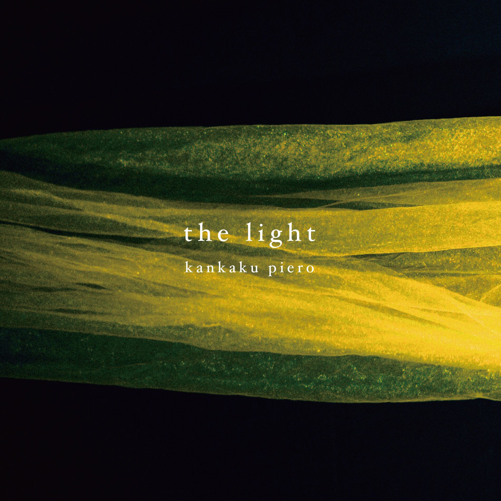 Album cover of the light