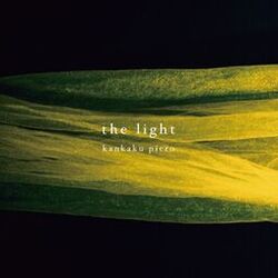 Cover of the light