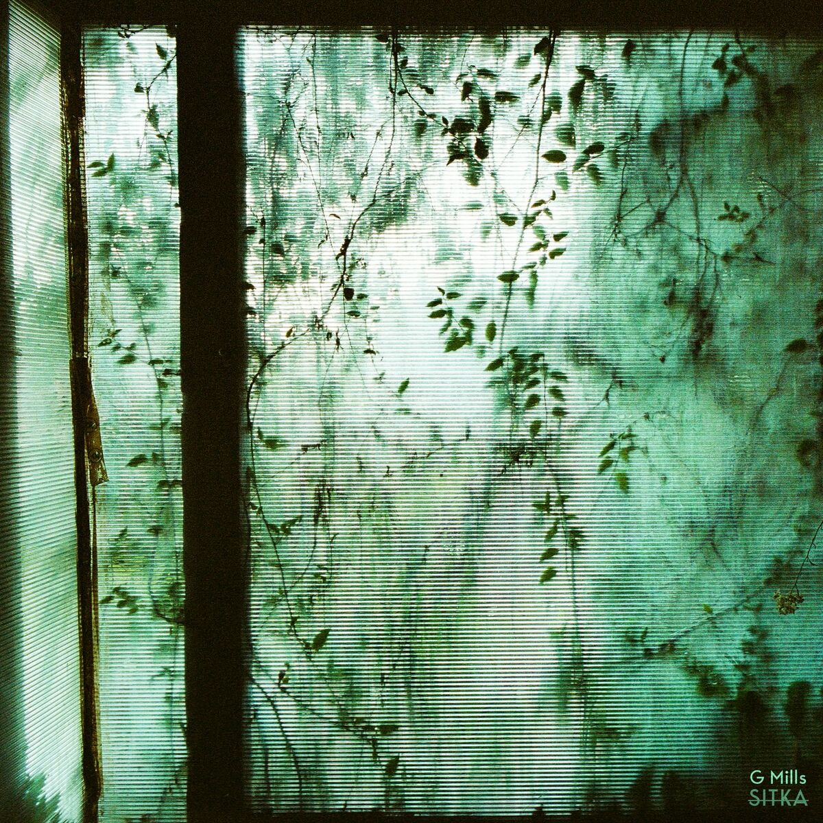 Album cover of Sitka