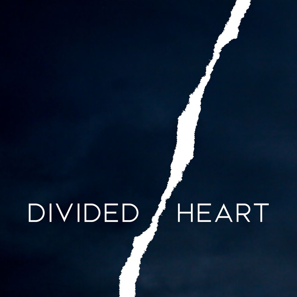 Picture of Divided Heart