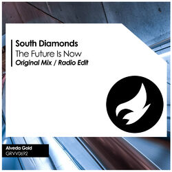 Cover of The Future Is Now
