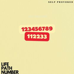 Cover of Life Path Number