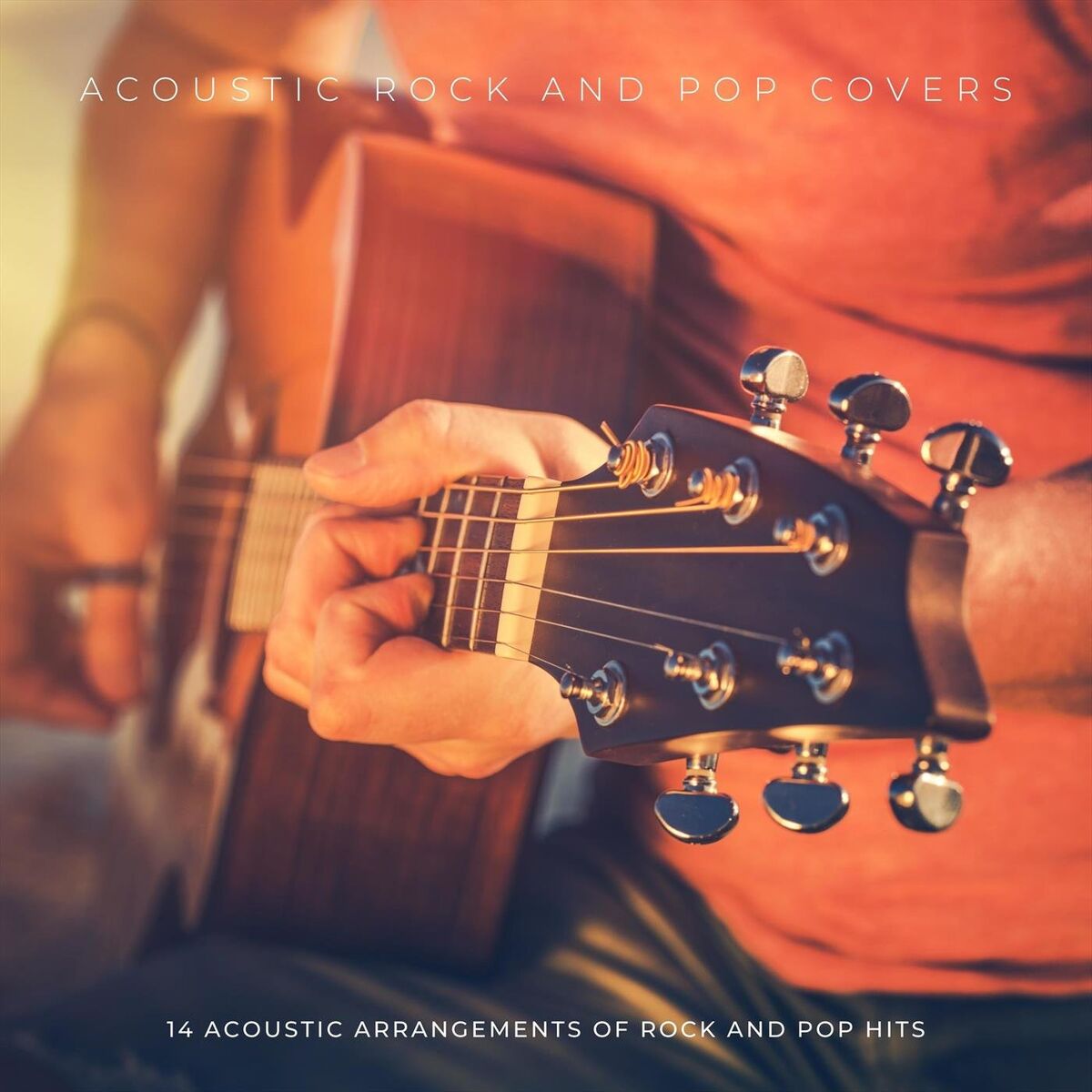 Album cover of Acoustic Rock and Pop Covers: 14 Acoustic Arrangements of Rock and Pop Hits