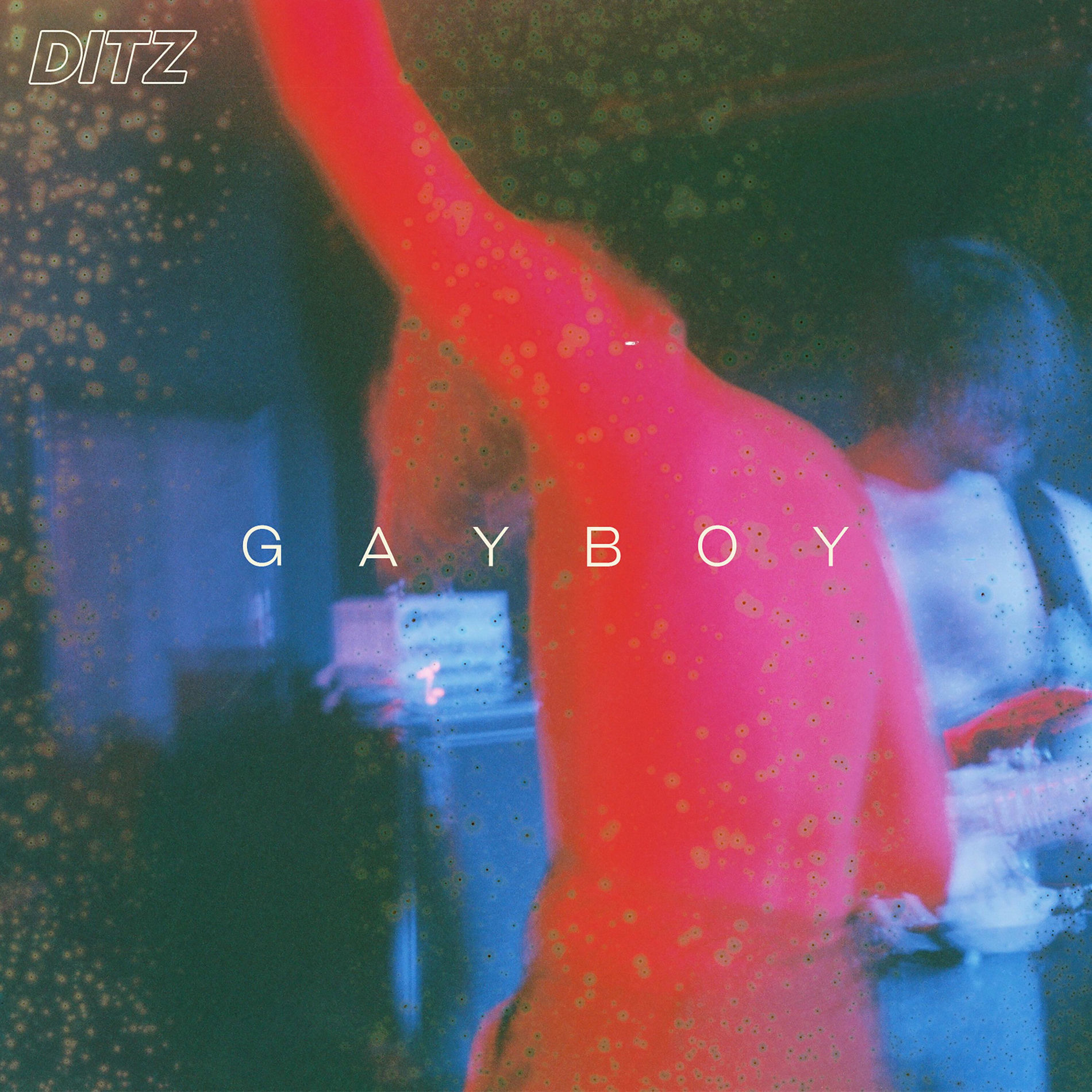 Album cover of Gayboy