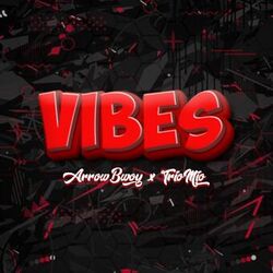 Cover of Vibes