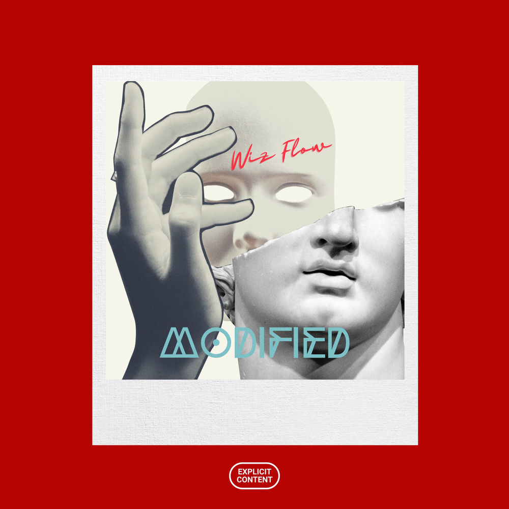 Wiz Flow Modified cover