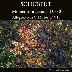 Cover of Schubert: Moments musicaux, D.780 - Allegretto in C Minor, D.915