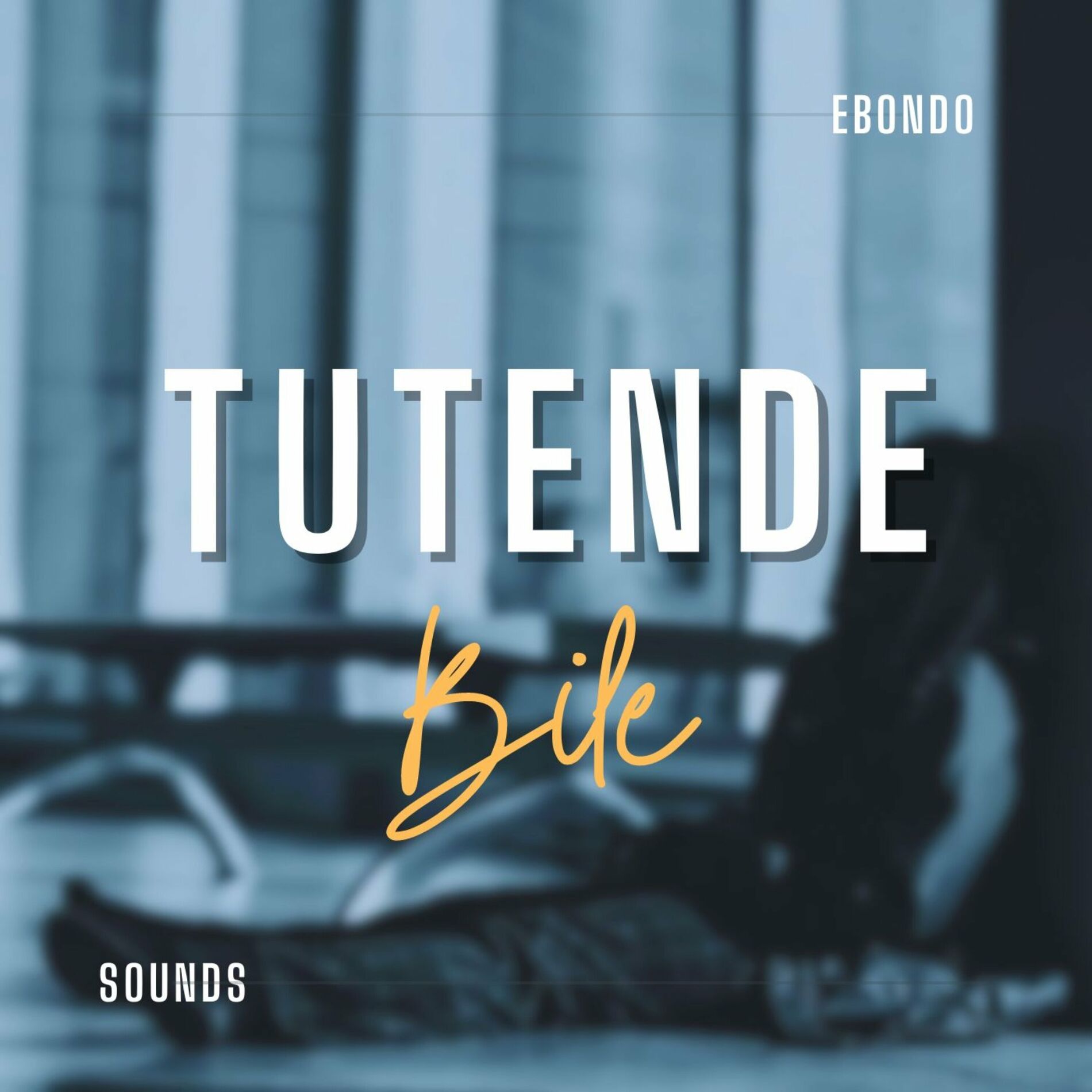 Album cover of Tutende Bile