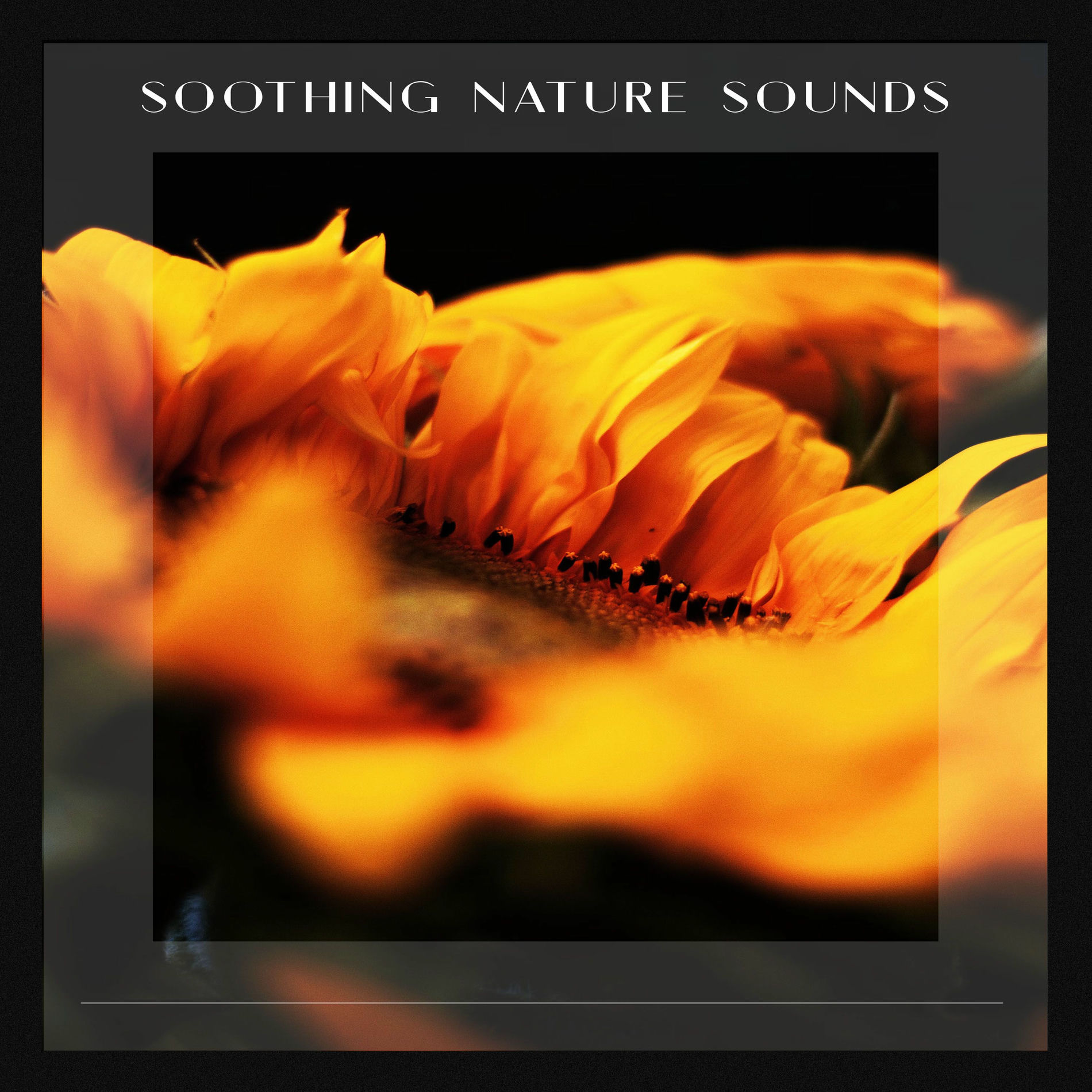 Album cover of Soothing Nature Sounds