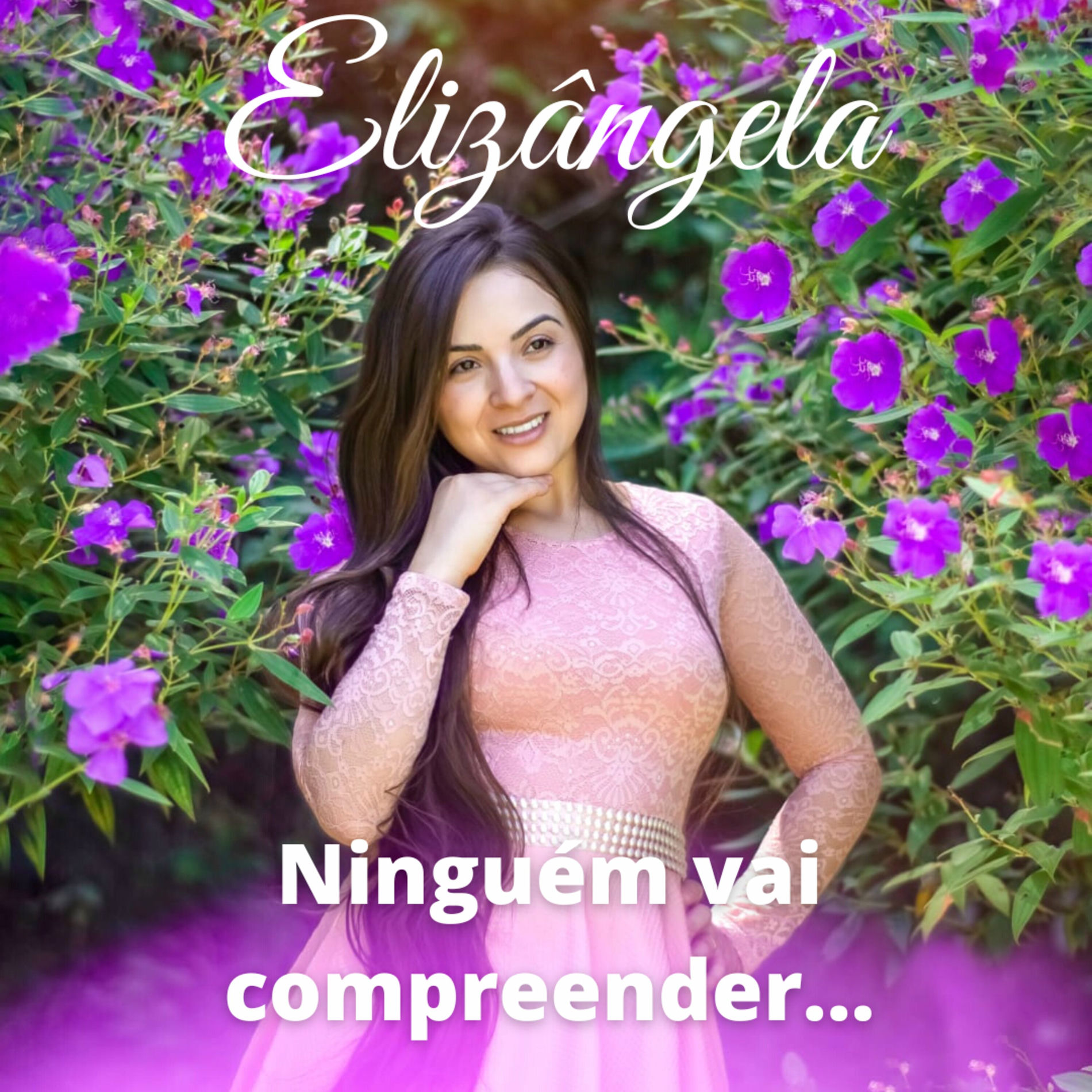 Album cover of Ninguém Vai Compreender