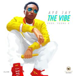 Cover of The Vibe