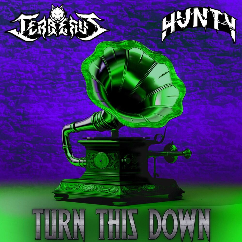 Picture of TURN THIS DOWN