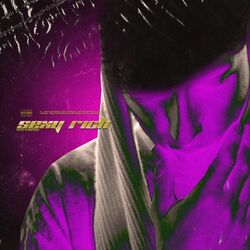 Cover of Sexy Rich