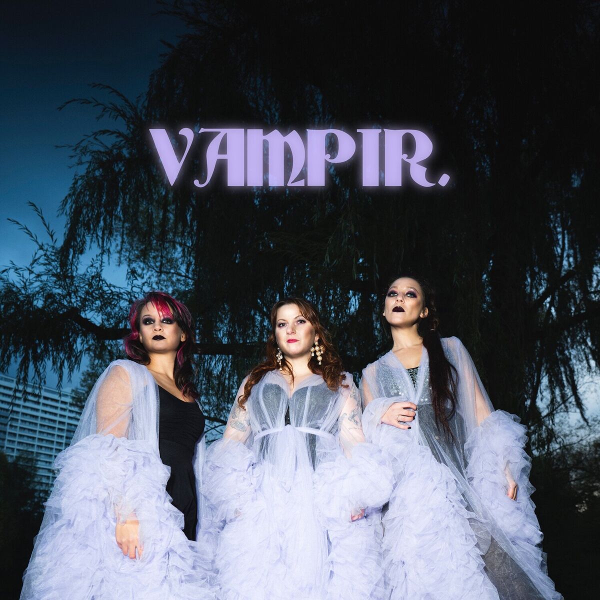 Album cover of Vampir