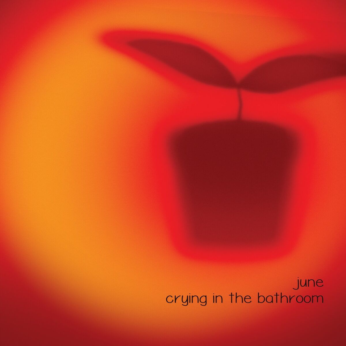 Album cover of Crying In The Bathroom