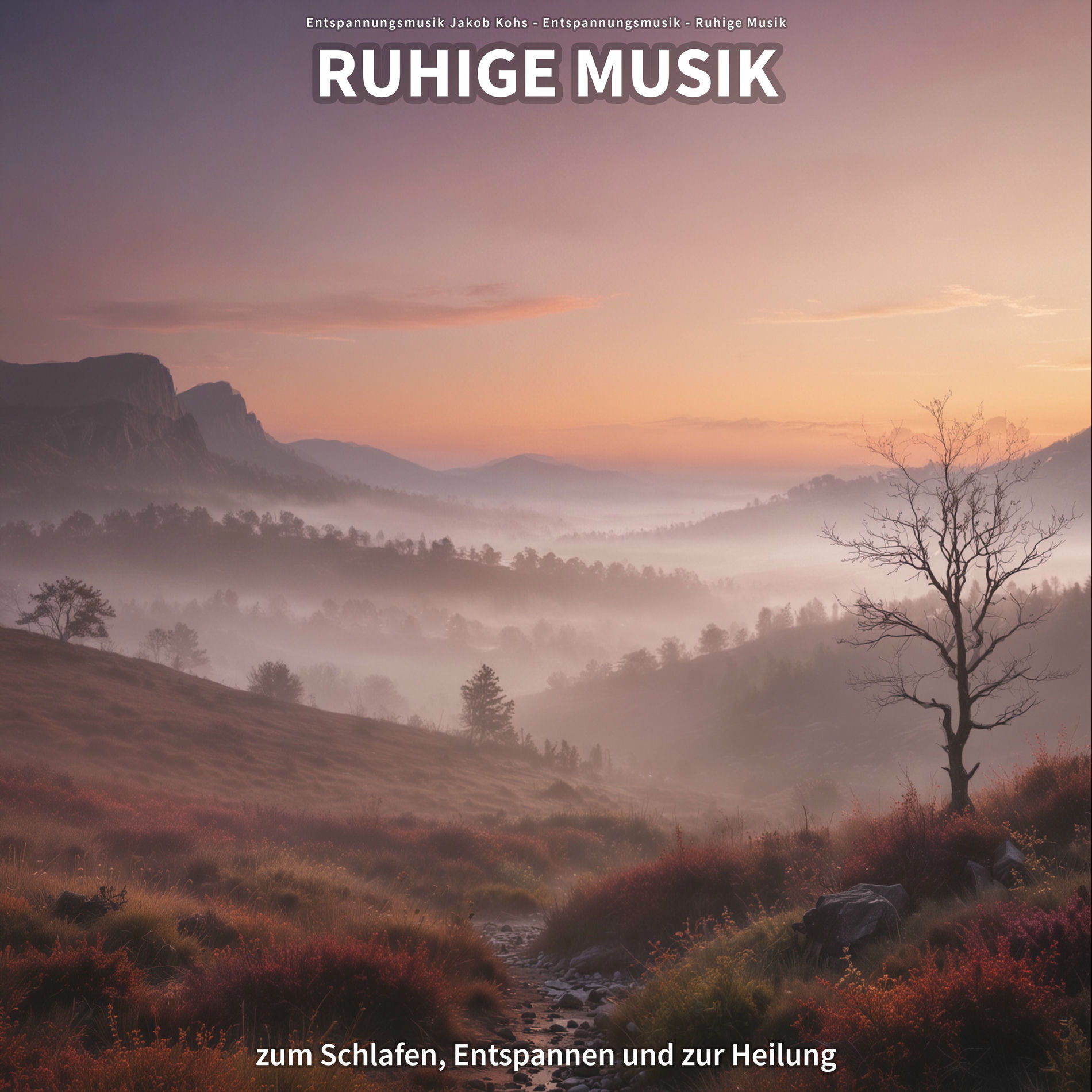 Album cover of Ruhige Musik zum Schlafen, Entspannen und zur Heilung
