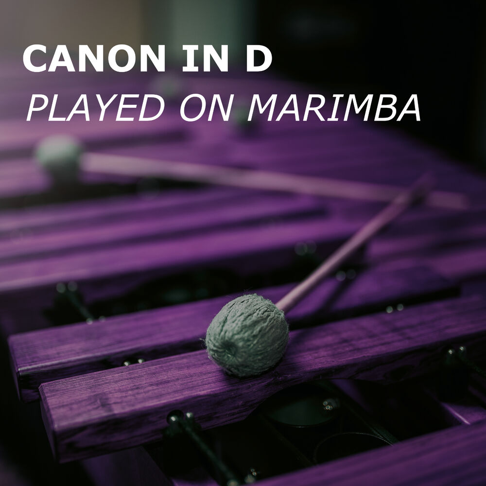Picture of Canon in D (played on Marimba)