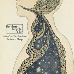 Cover of How Can You Swallow So Much Sleep