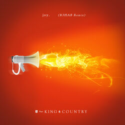 Cover of joy. (R3HAB Remix)